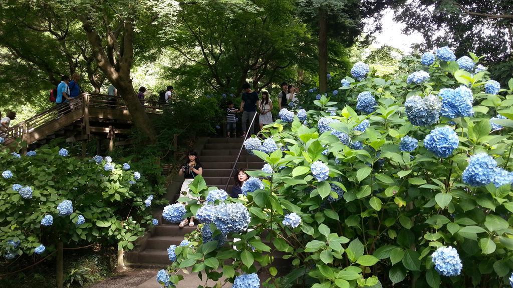 Enoshima Guest House 134 Fujisawa Eksteriør billede